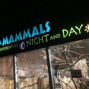 In Memoriam - Small Mammals