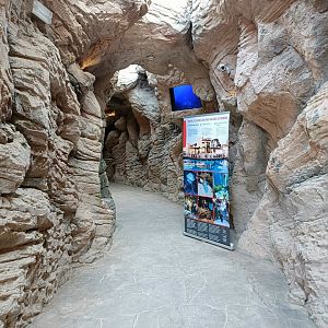 Entrance - Centro de visitantes Ses Salines