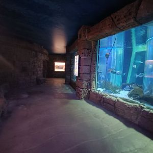 General view - Centro de visitantes Ses Salines