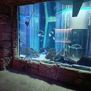 Mediterranean sea aquarium - Centro de visitantes Ses Salines