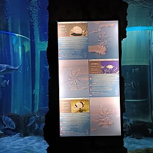 Sign - Centro de visitantes Ses Salines