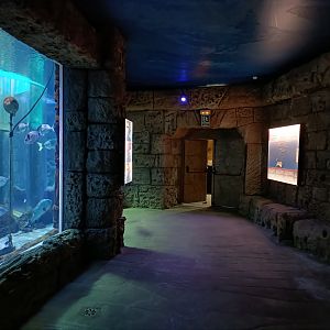 General view - Centro de visitantes Ses Salines