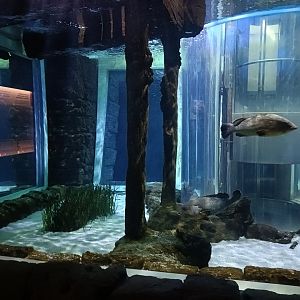 Mediterranean sea aquarium - Centro de visitantes Ses Salines