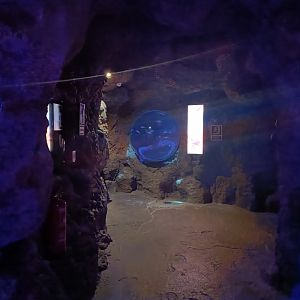 General view - Centro de visitantes Ses Salines