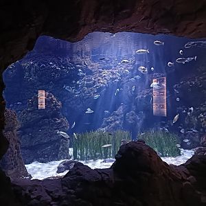 Mediterranean sea aquarium - Centro de visitantes Ses Salines