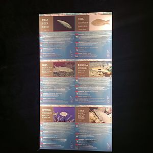 Sign - Centro de visitantes Ses Salines