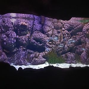 Mediterranean sea aquarium - Centro de visitantes Ses Salines