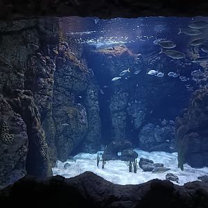 Mediterranean sea aquarium - Centro de visitantes Ses Salines