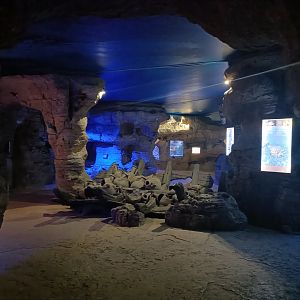 General view - Centro de visitantes Ses Salines