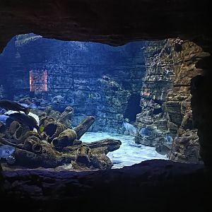 Mediterranean sea aquarium - Centro de visitantes Ses Salines