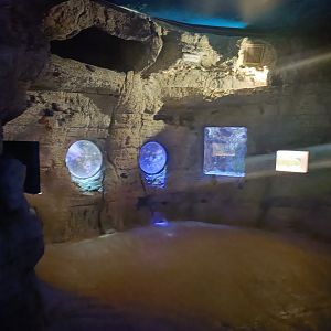 General view - Centro de visitantes Ses Salines