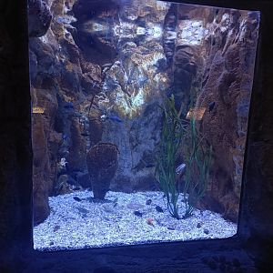 Mediterranean sea aquarium - Centro de visitantes Ses Salines