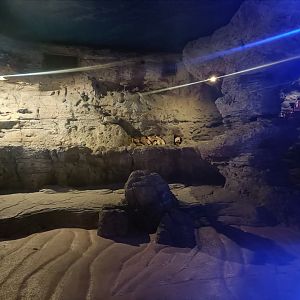 General view - Centro de visitantes Ses Salines