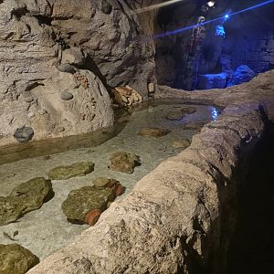Coast aquarium - Centro de visitantes Ses Salines