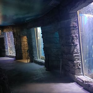 Mediterranean sea aquarium - Centro de visitantes Ses Salines