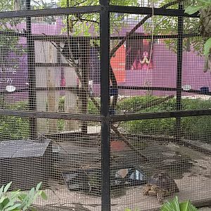 The Breeze BSD - Small Aviary