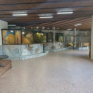 General view - Crocodile park Torremolinos