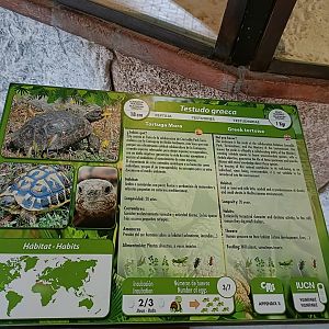 Sign - Crocodile park Torremolinos