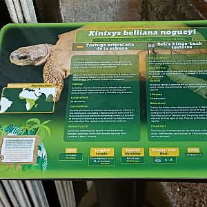 Sign - Crocodile park Torremolinos