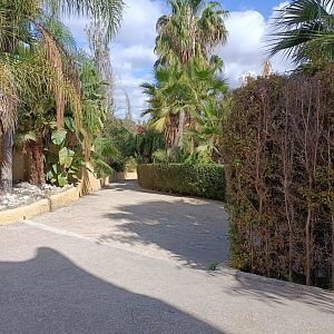 General view - Crocodile park Torremolinos
