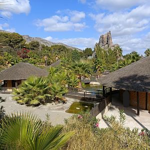 General view - Crocodile park Torremolinos