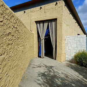 Inside exhibits - Crocodile park Torremolinos