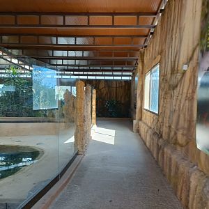 General view - Crocodile park Torremolinos