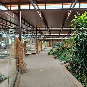 General view - Crocodile park Torremolinos