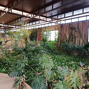 General view - Crocodile park Torremolinos