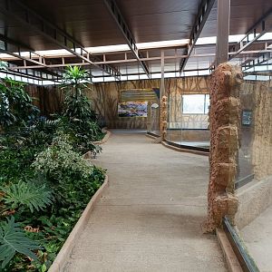 General view - Crocodile park Torremolinos