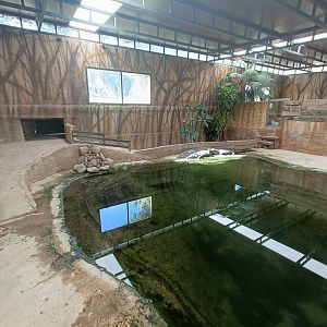 Nile crocodile exhibit - Crocodile park Torremolinos