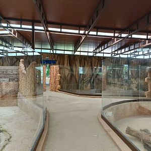 General view - Crocodile park Torremolinos