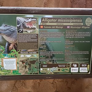 Sign - Crocodile park Torremolinos