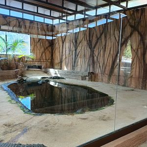 Nile crocodile exhibit - Crocodile park Torremolinos