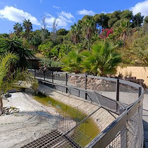 Nile crocodile exhibit - Crocodile park Torremolinos