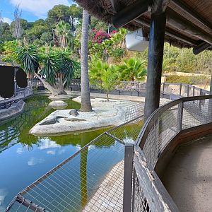Nile crocodile exhibit - Crocodile park Torremolinos