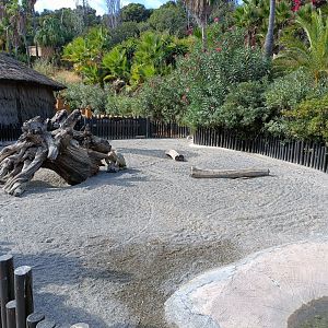 Sulcata tortoise and leopard tortoise exhibit - Crocodile park Torremolinos