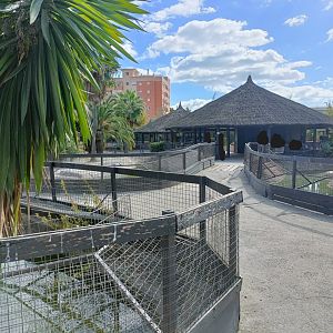 General view - Crocodile park Torremolinos