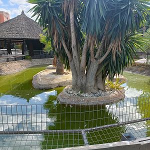 Fish pond - Crocodile park Torremolinos