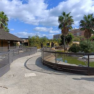 General view - Crocodile park Torremolinos