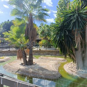 Fish pond - Crocodile park Torremolinos