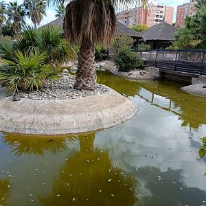Invasive turtle exhibit - Crocodile park Torremolinos