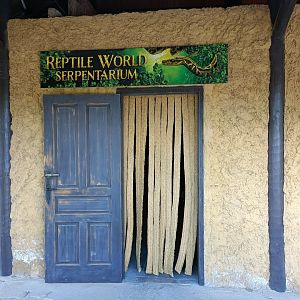 Serpentarium - Crocodile park Torremolinos