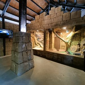 General view - Crocodile park Torremolinos