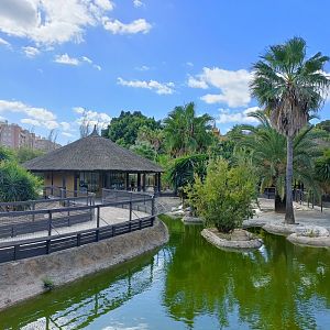 General view - Crocodile park Torremolinos