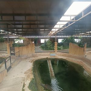 Crocodile inside exhibits - Crocodile park Torremolinos