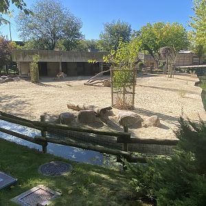 Vicuña enclosure