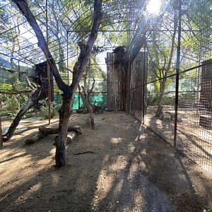 Imperial eagle aviary