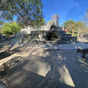 Spanish ibex enclosure