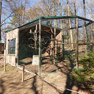 Tierpark Altenfelden - Great grey owl aviary